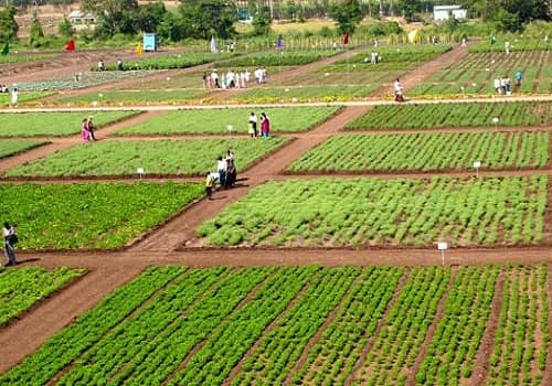 College of Agriculture Pune Events photo 2